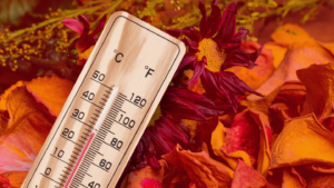soluzione per il trasporto col caldo estivo di agosto