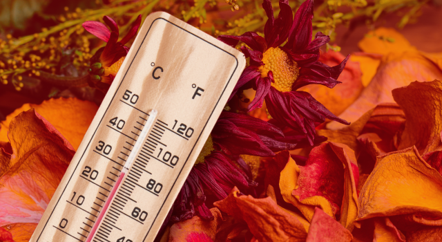 soluzione per il trasporto col caldo estivo di agosto